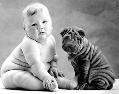 bb é chien